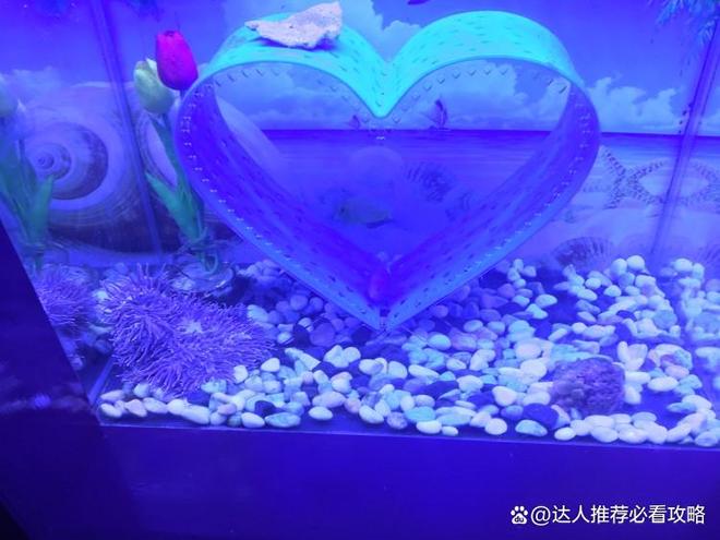 山东四天路线推荐攻略 避坑指南CQ9电子